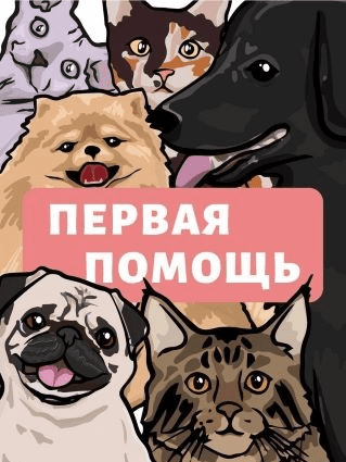 Безымянный.png